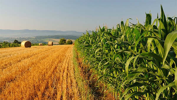 Mezőgazdasági adatfelvételt végez a KSH | Tata Város Hivatalos Honlapja